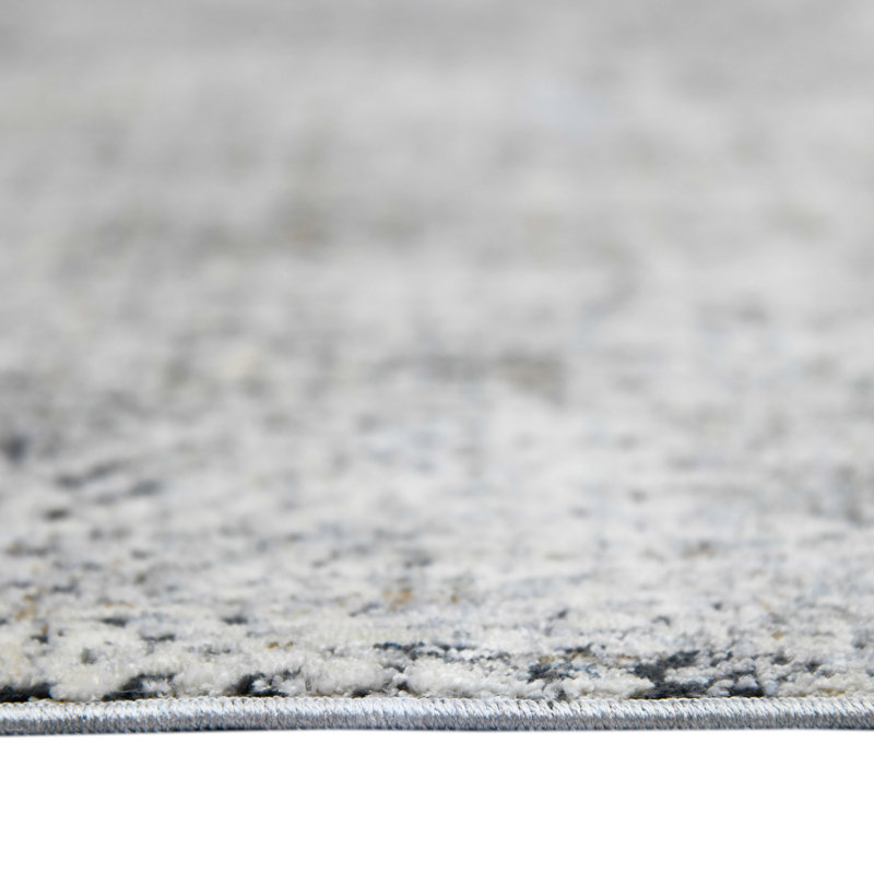 Rosslyn Transitional Gray 7'10" x 9'10" Synthetic Oriental Area Rug