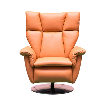 Alessio Luxe Top Grain Italian Leather Double Power Swivel Chair by Hokku Designs