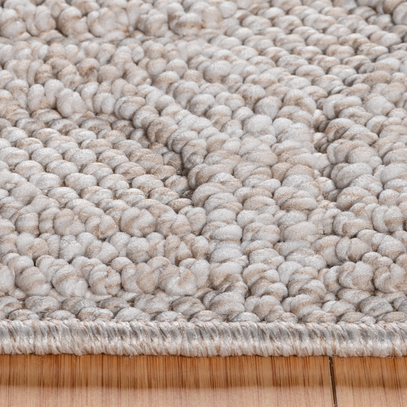  Tapis intérieur / extérieur à poils longs à poils longs et beige, Nylah Haley, Tapis de couloir 2 pi 2 po x 7 pi