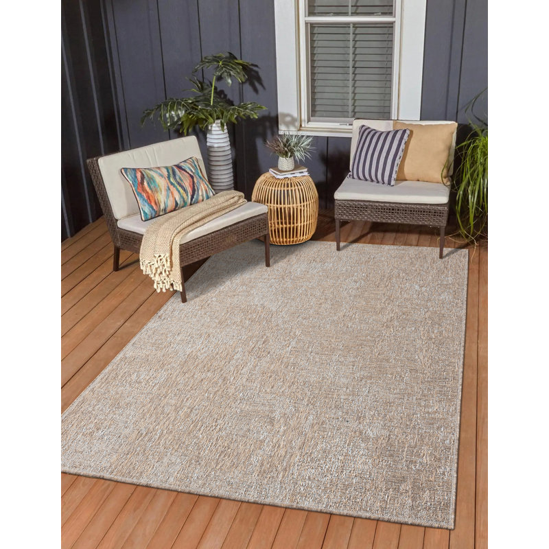 Pedrosa Flatweave Indoor Rug, Rectangle 7'7" x 10'