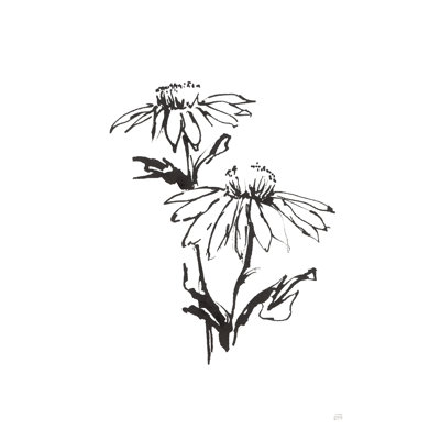 Line Echinacée II