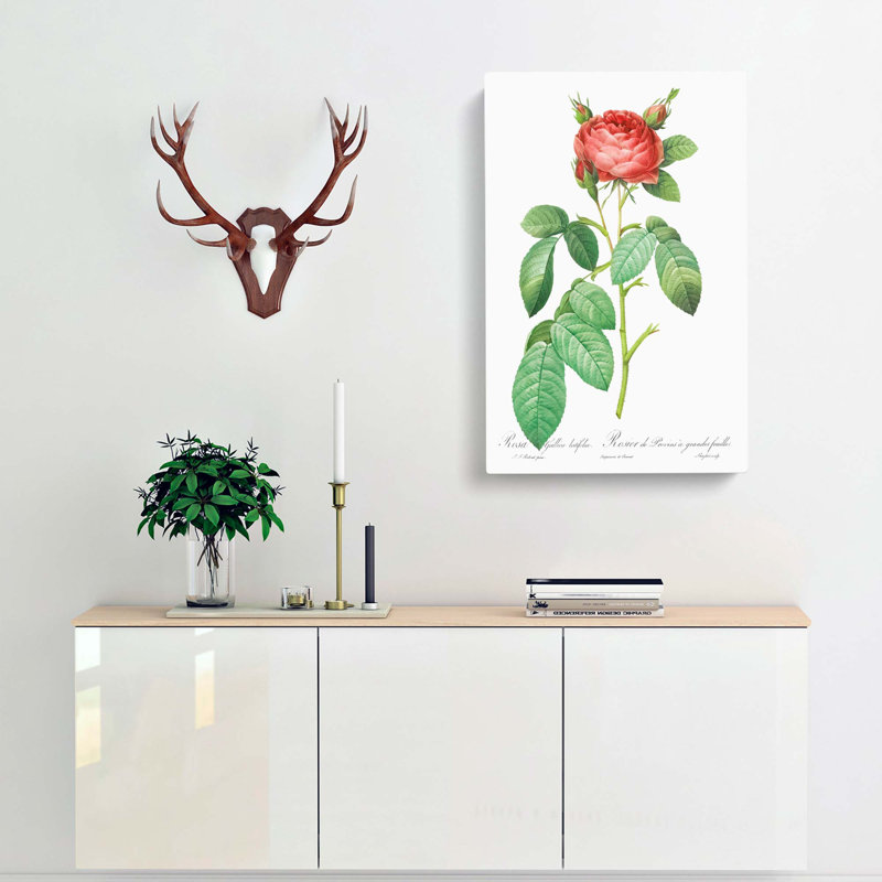Gallic Rose by Pierre-Joseph Redoute - Wrapped Canvas Painting, 50cm H x 35cm W x 3cm D