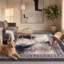 Tapis Barlow moderne à poils courts, style aquarelle abstraite, gris et noir, lavable en machine, antidérapant, pour intérieur et extérieur, adapté aux animaux domestiques, idéal pour le salon, la chambre, la salle à manger, l'entrée, le corridor ou le bureau.-1471795869