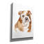 Art mural sur toile Winston Porter «Dog Portrait 3» par Katrina Pete-1474854159