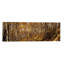 Reproduction de photo sur toile-1116577083-1180098157