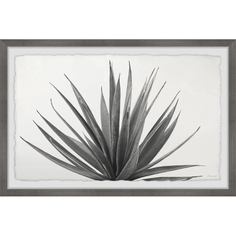 Marginata - Single Picture Frame Painting, 38cm H x 45cm W x 3.81cm D