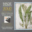 Greenhouse Fern I, reproduction encadrée - bois massif-2107954221-2107954260