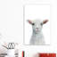 «Baby Sheep», reproduction d'art-53045770-53045772-53045769