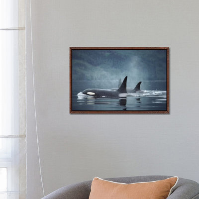 Orca Group Surfacing, Johnstone Strait, British Columbia, Canada 1 Piece Wall Art on Canvas