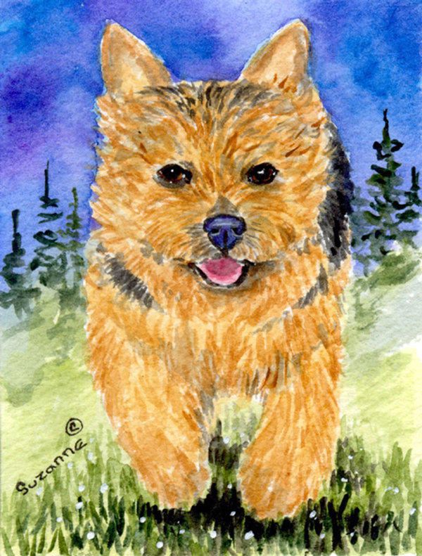 Norwich terrier polyester 40 x 28 po drapeau maison