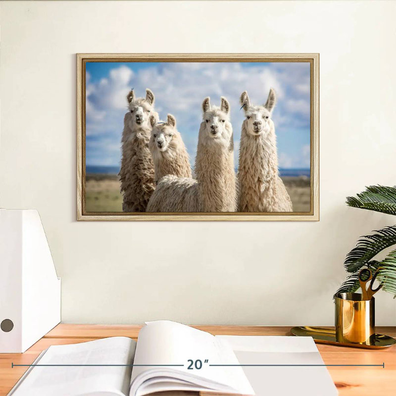 Lamas blancs moelleux, Cadre flottant en bois naturel, 13 po x 9 po