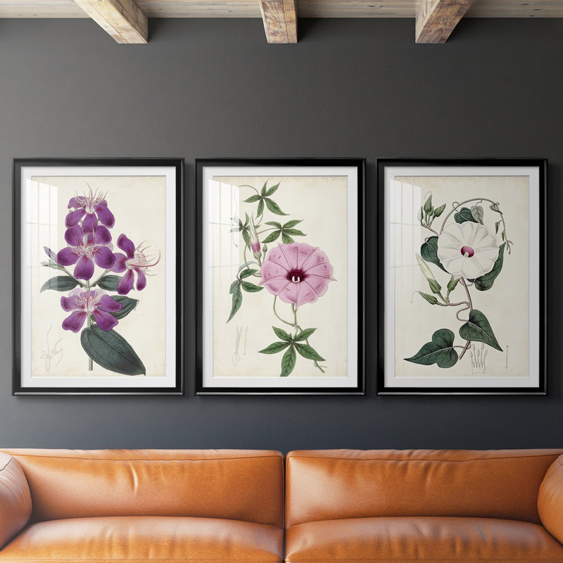 Garden Gems IV - encadré sur mesure de qualité supérieure avec mat - 3 pièces, Noir, H 21 po x l 30 po