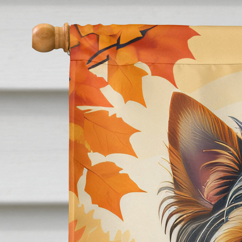 Drapeau de maison en polyester à double face H 40 po x l 28 po