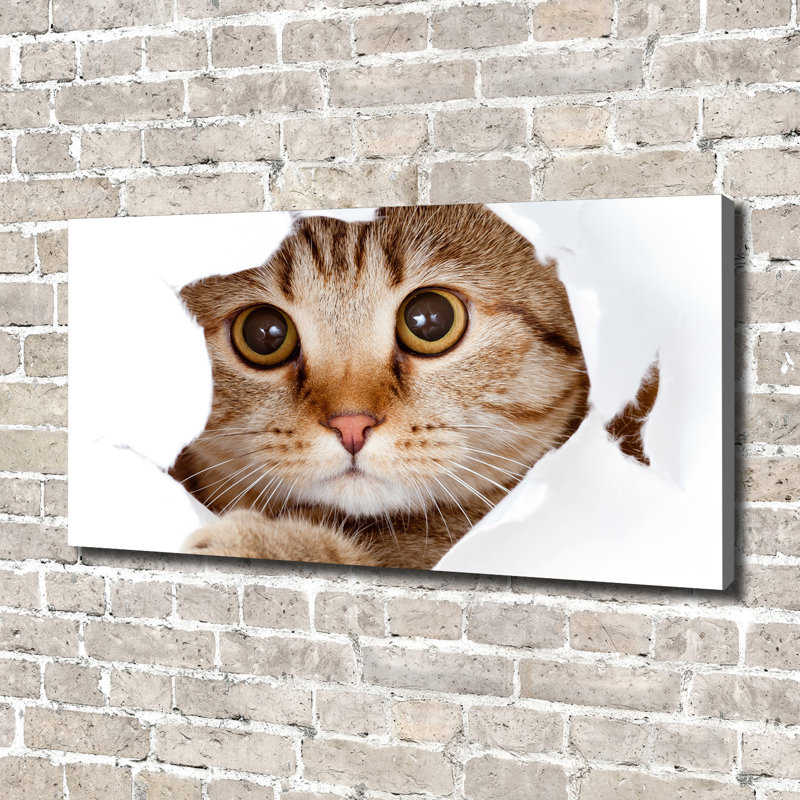 Cat - Wrapped Canvas Print