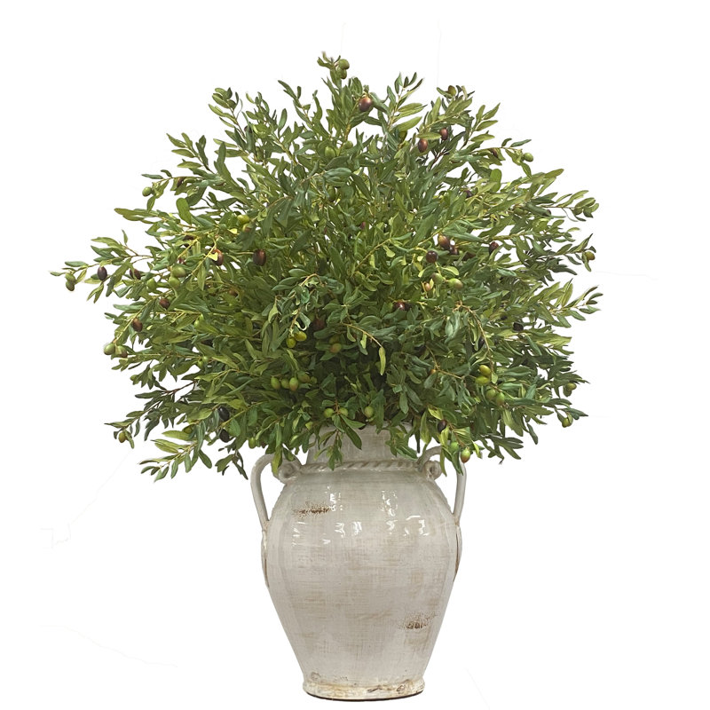 Olive Leaf Arrangement