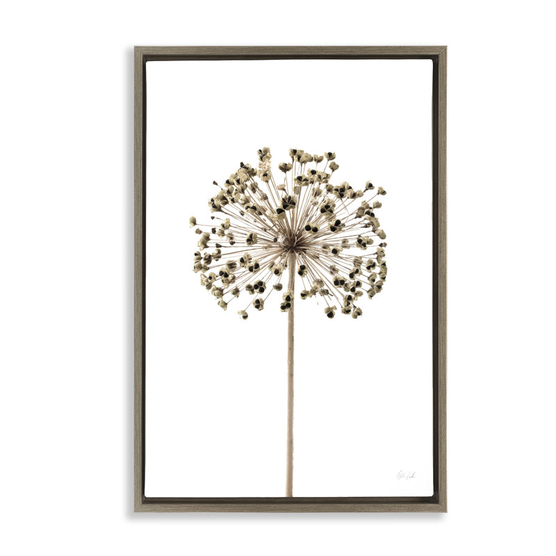  Toile flottante encadrée Minimal Allium Bud par Deborah Revell, H 31 po x l 21 po, Cadre flottant orme Montalcino