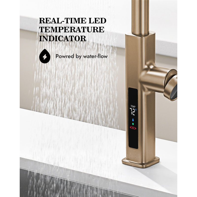 Single Handle Kitchen Faucet with Accessories, Brushed Brass