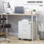 40cm Wide 2 -Drawer File Cabinet-116696776