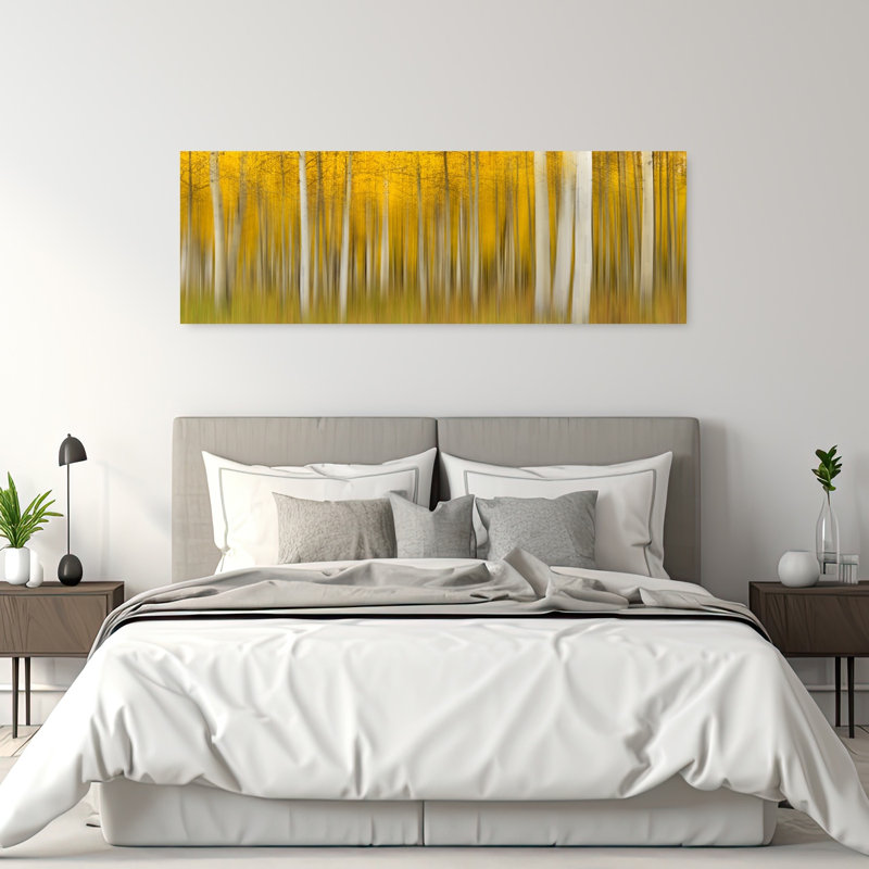 Golden Aspen Blur, H 20 po x l 60 po