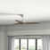 44" Chisel 3 - Blade Standard Ceiling Fan with Wall Control