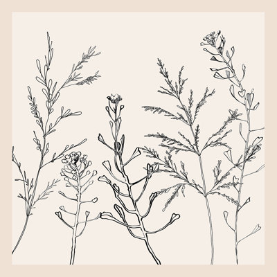 Herbe minimaliste 2