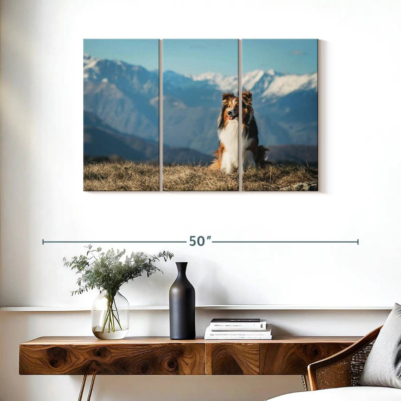 Brampt Shetland Sheepdog, 24" H x 38" W