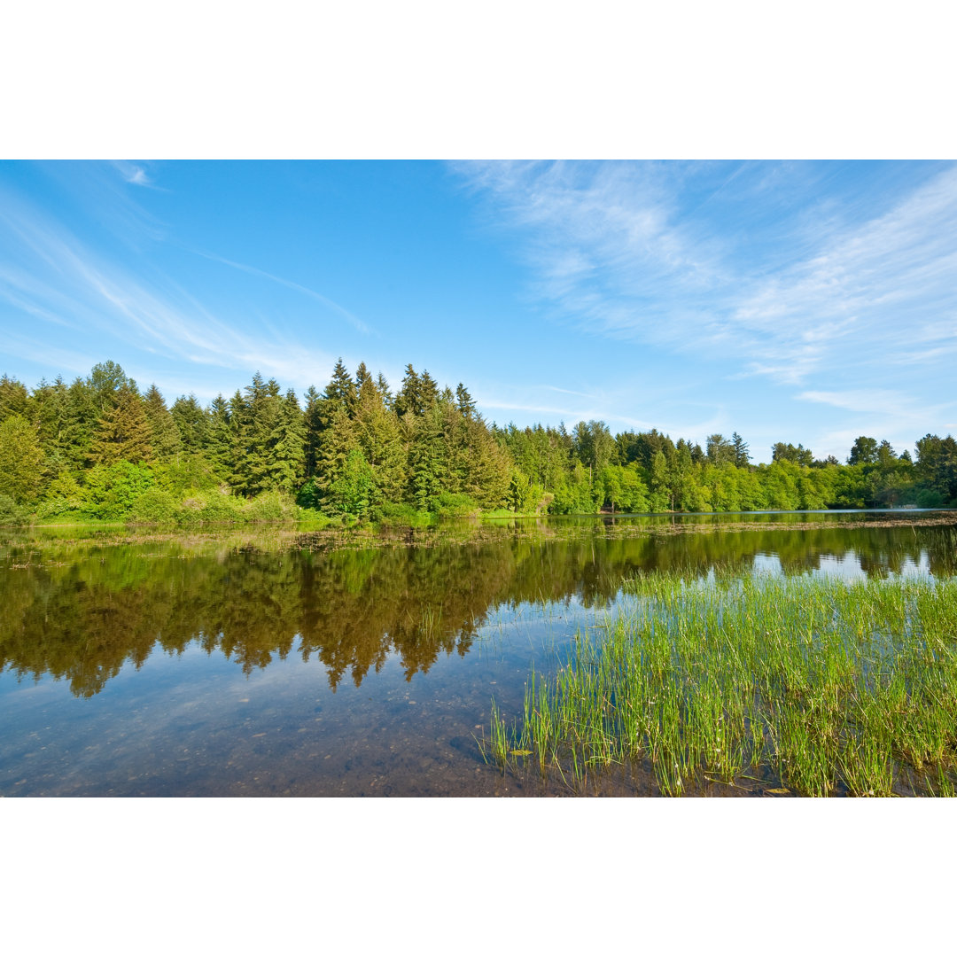 Bradley Lake Evening von JeffGoulden - Leinwandbild