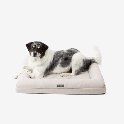 Memory Foam Orthopedic Dog Bed - 