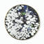 Silver Leaf Floral Print