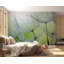 Murale botanique Reicherter - Pissenlit au printemps-331125013-289263586
