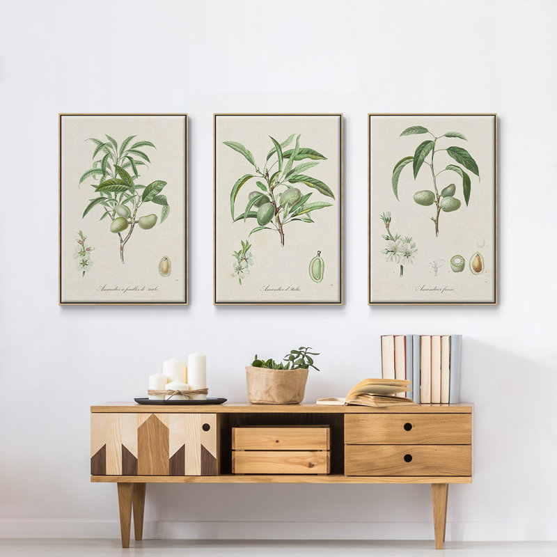 "Antique Ammond Botanical I", reproduction sur toile 3 pièces, H 40 po x l 90 po x P 2 po, Naturel