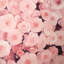 Champ de fleurs roses - reproduction botanique encadrée pour la décoration intérieure-131187370