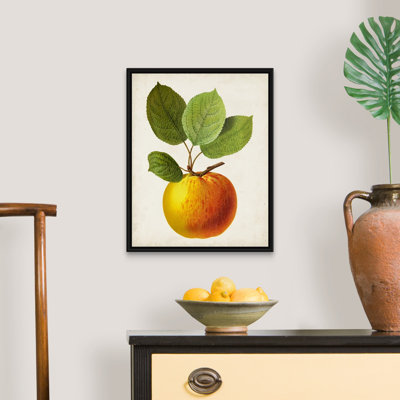Antique Fruit I - reproduction d'art sur toile
