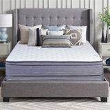 Alwyn Home Veniaminof 20'' Plush Hybrid Mattress and Box Spring