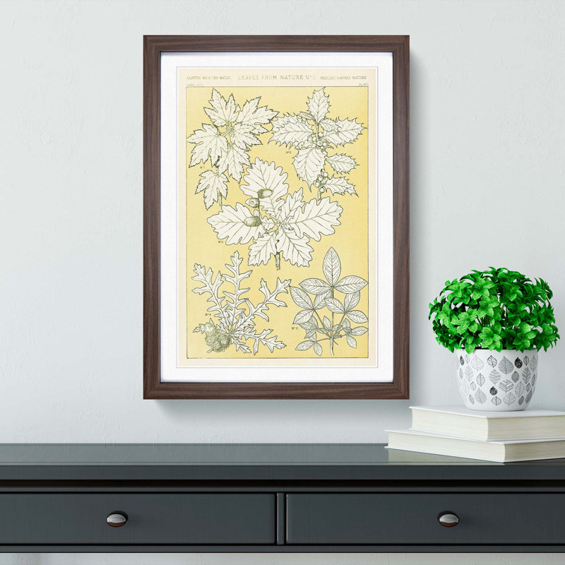 Leaves from Nature No. 5 by Owen Jones - Picture Frame Painting Print, Walnut Framed, 36cm H x 27cm W x 2cm D