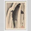 "Carpe sautant par-dessus les vagues"-101825464-101825468