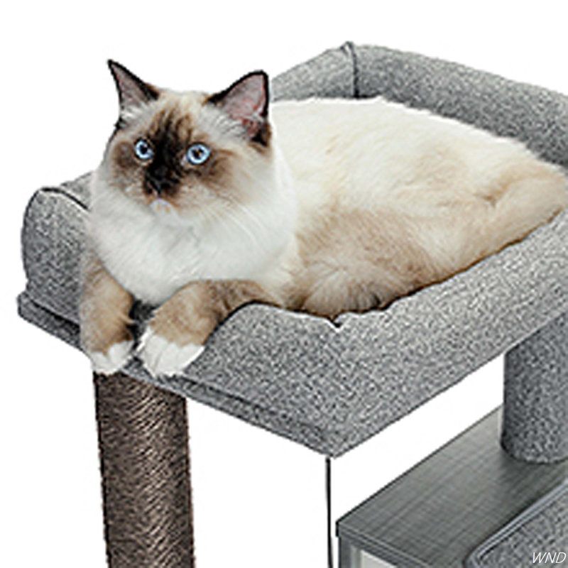 Arbre à chat 35 po Stonecrest, Gris