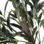 155cm Faux Olive Tree Tree in Freestanding