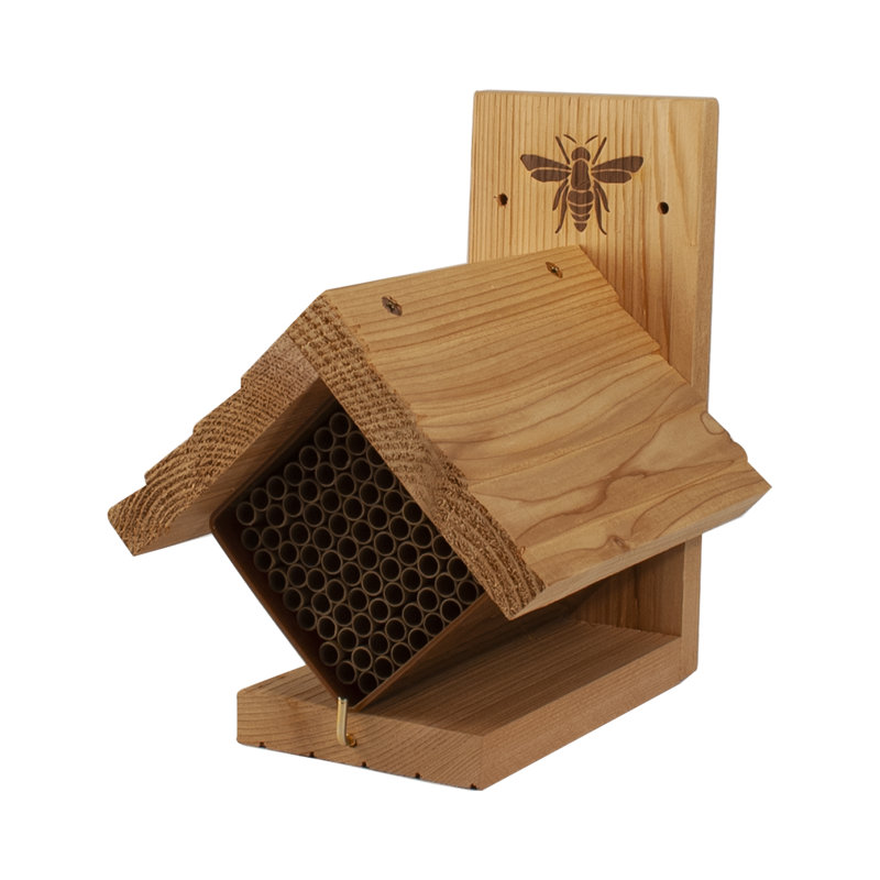 Beekeeping Beehive Accessory