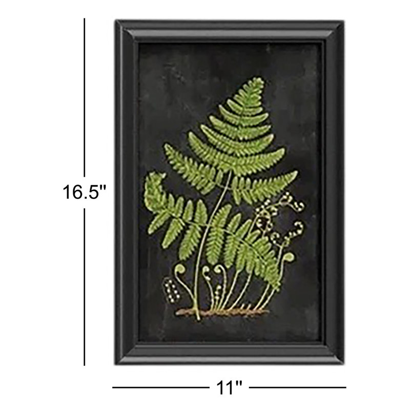 Fern Botanical