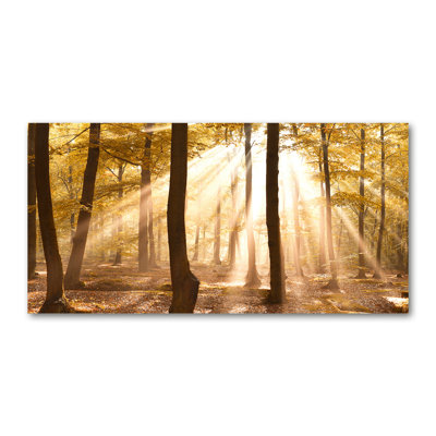 Autumn Forest - Wrapped Canvas Print