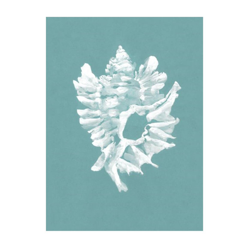 Pearl Shell VI Painting by Fern Cassidy, 27" H x 20" W x 1.5" D, Glass Coat