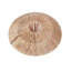 Anegla Iron Novelty Lamp