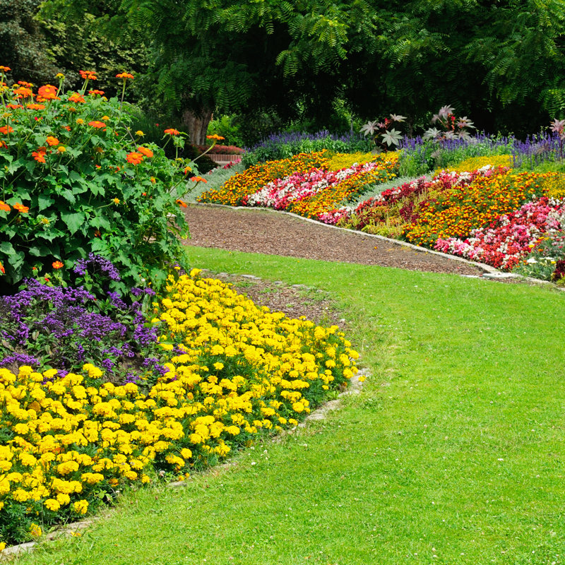 Blossoming Flowerbeds - Wrapped Canvas Print, 30cm H x 30cm W