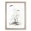 Illustration of White Herons by John Edward Gray - Picture Frame Painting Print-55579688-55579687