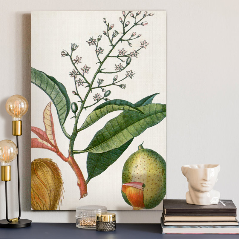Reproduction d’art sur toile tendue « Turpin tropical fruit X », H 36 po x l 24 po x P 1 po