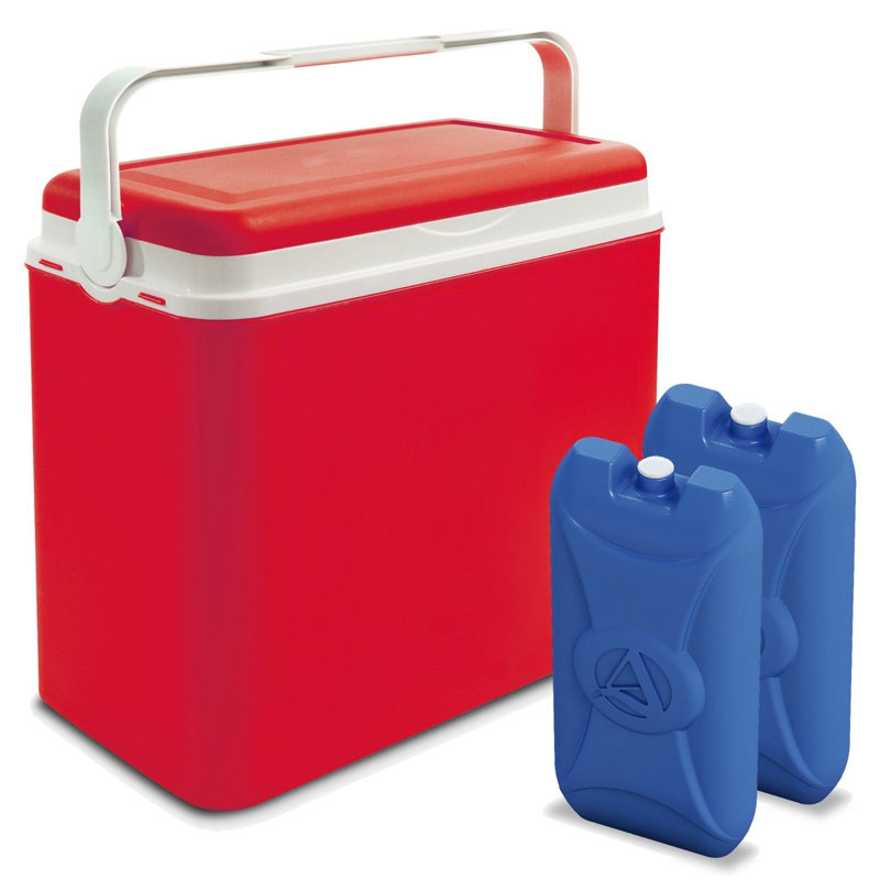 Wayfair Basics™ 24L Handheld Cooler, Red