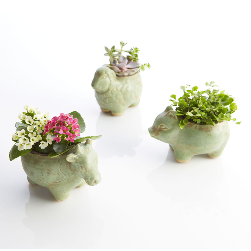 Lala Planter