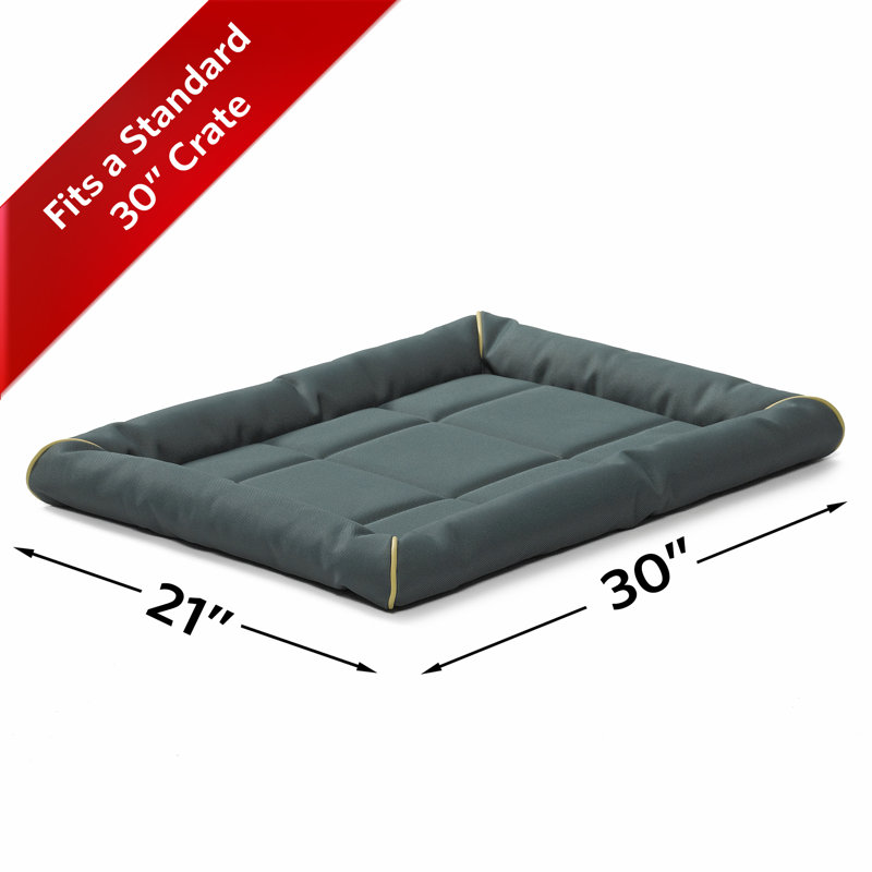 Lit pour animal de compagnie Midx West, Moyen (l 35 po x P 24 po x H 2,5 po), Vert