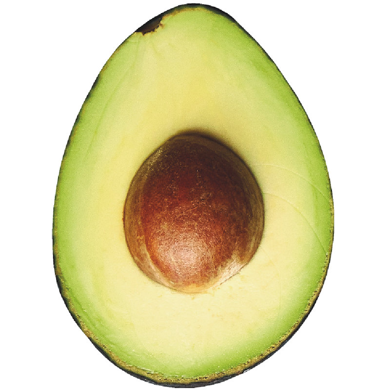 Support en carton avocat
